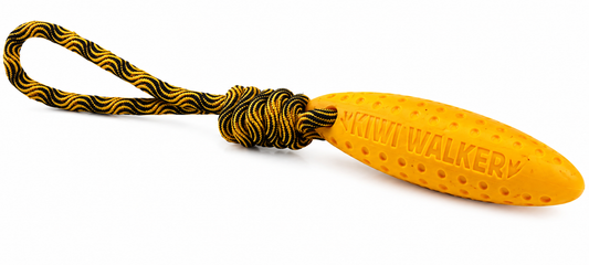 KIWI WALKER Zeppelin