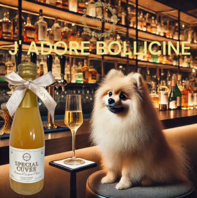 Cidre Spécial Cuvée - Boisson pour chien 200ml