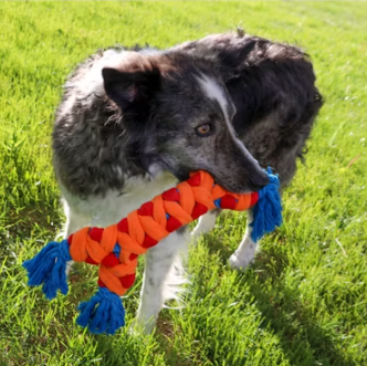 Kong Rope Rally Corde 38cm