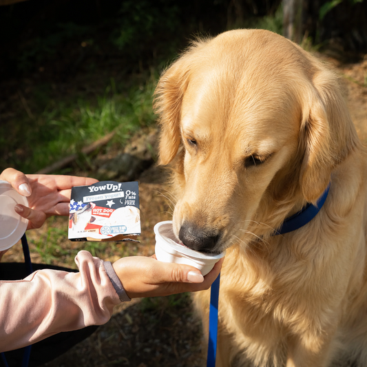 Glace saveur Hot Dog et Fromage 110gr - chien et chat
