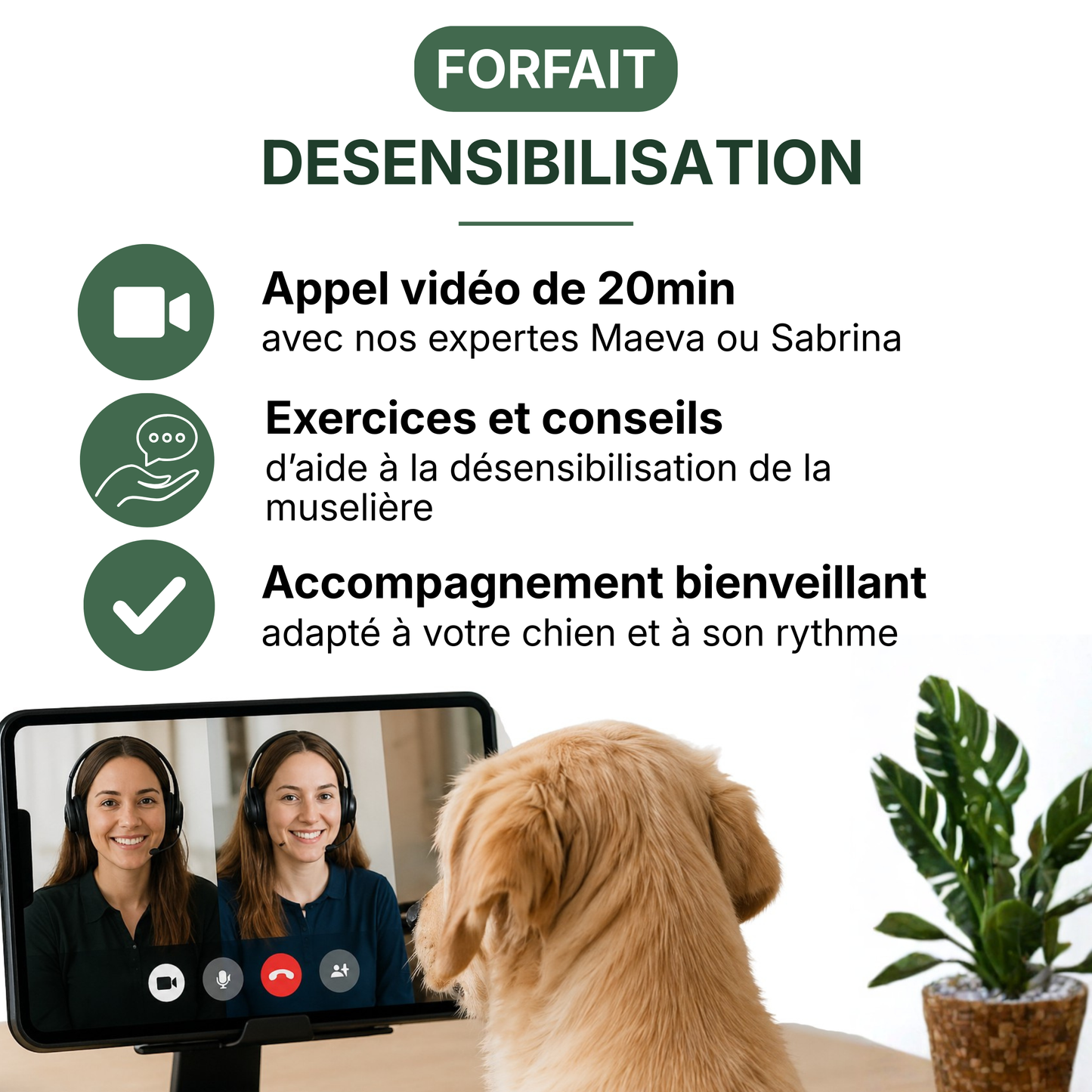 Forfait Désensibilisation