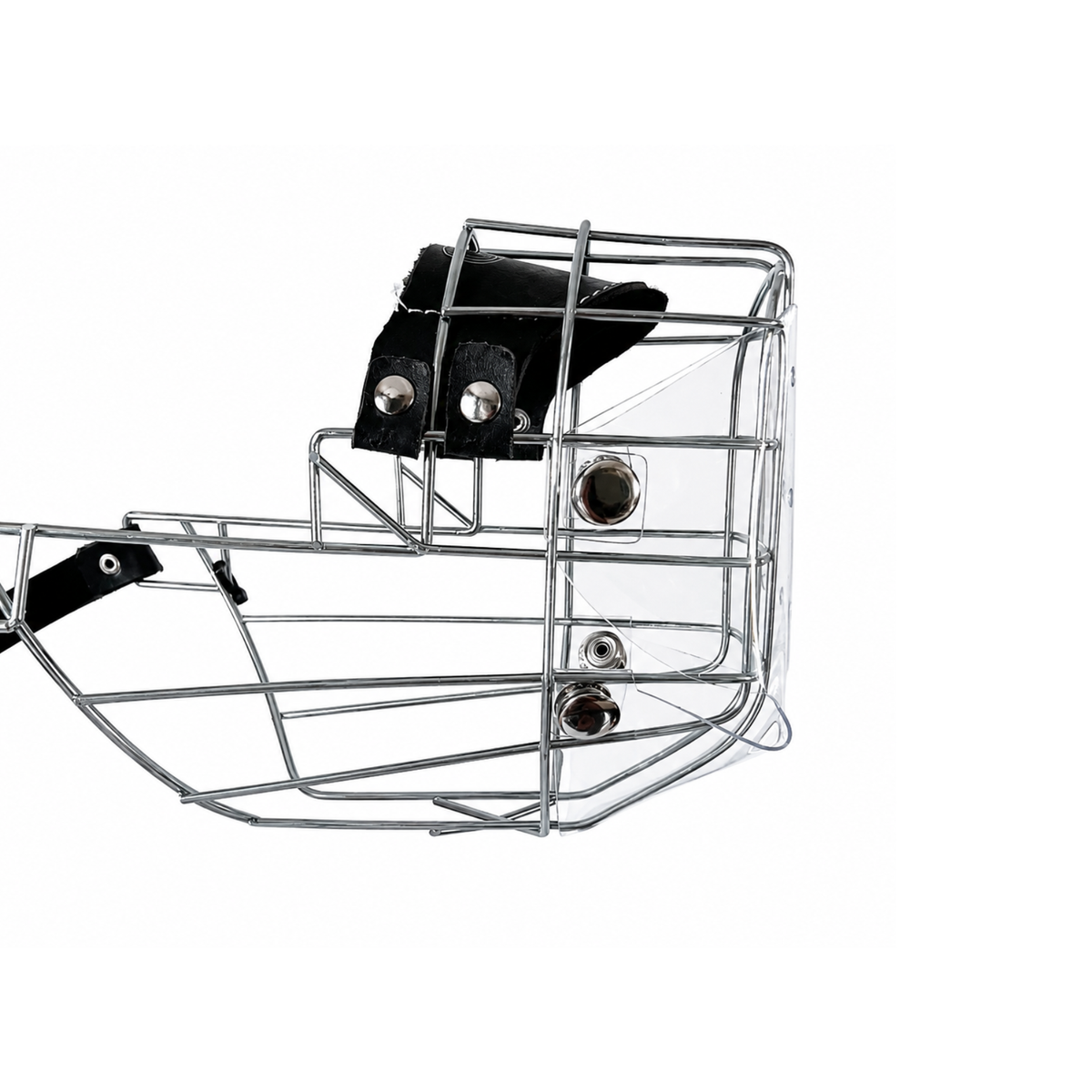 Cache anti-glouton pour CHOPO Rhodesian Ridgeback mâle acier