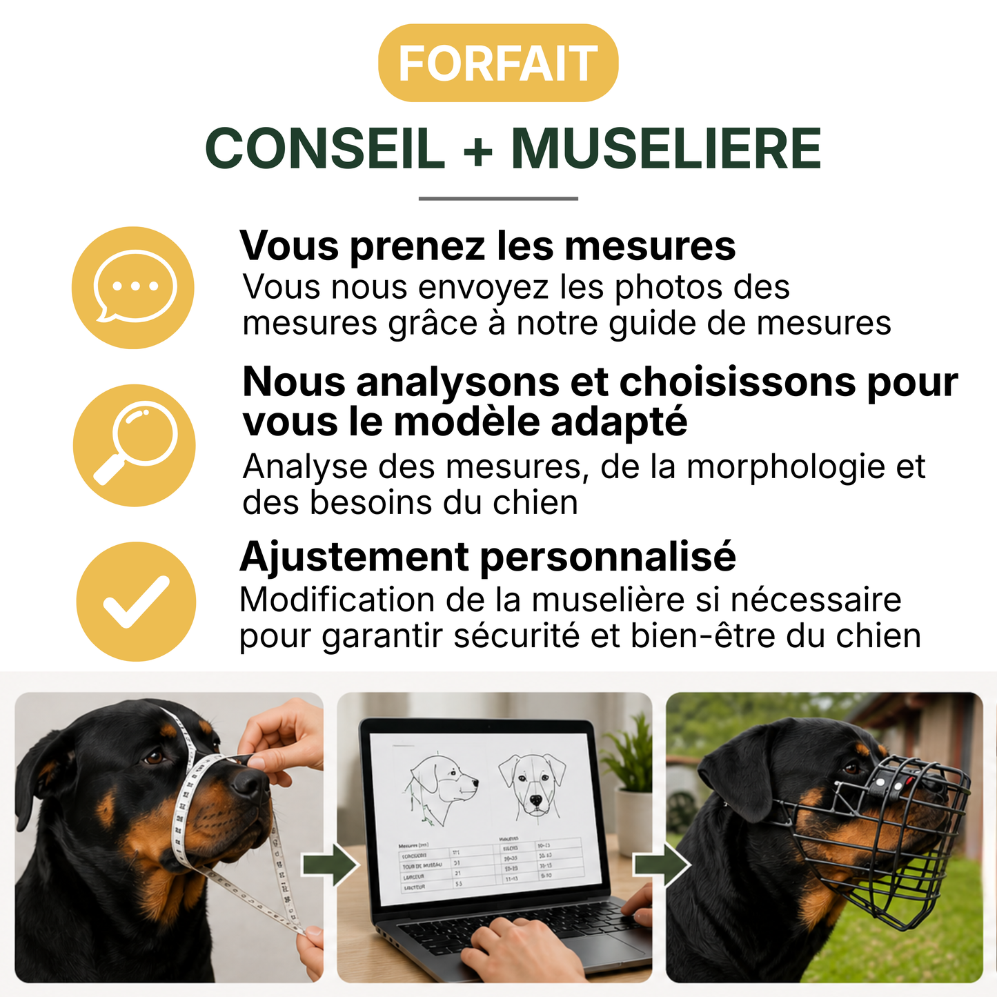 Forfait Conseil + Muselière Biothane noir