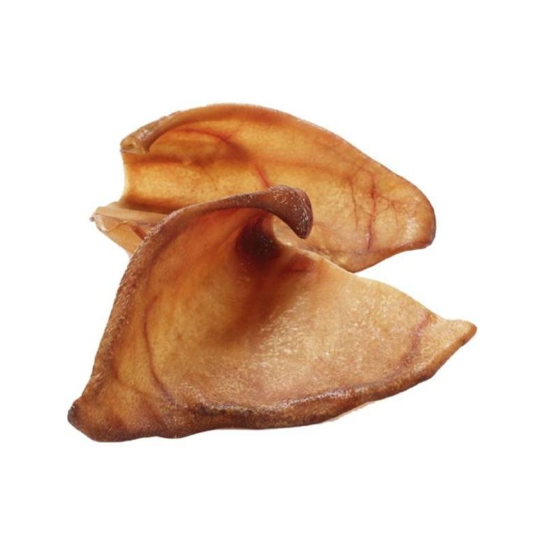 Oreja de cerdo