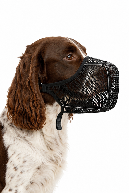 Muselière en maille respirante XL