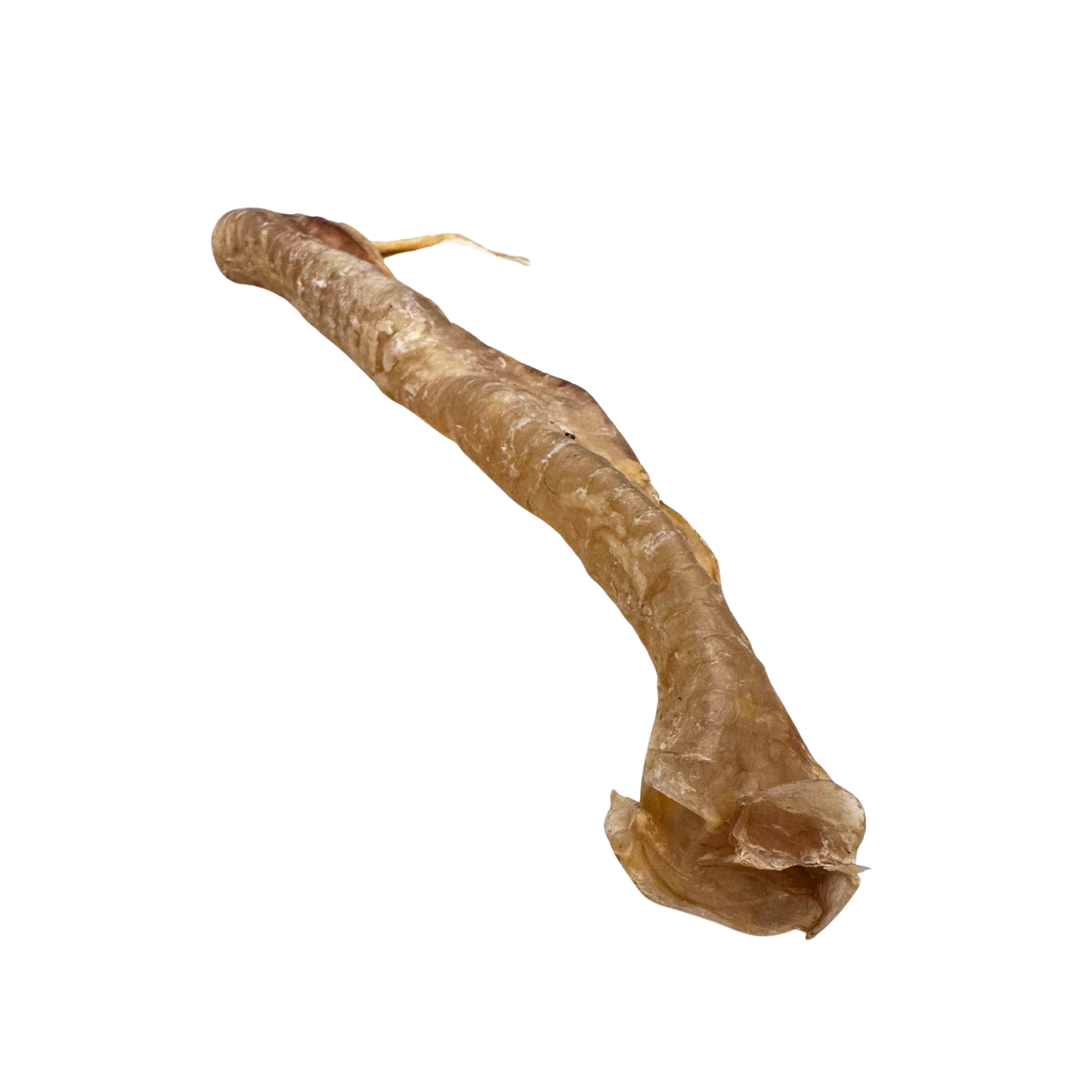 Tráquea de cordero