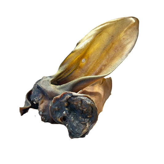 Oreja de buey sin pelo