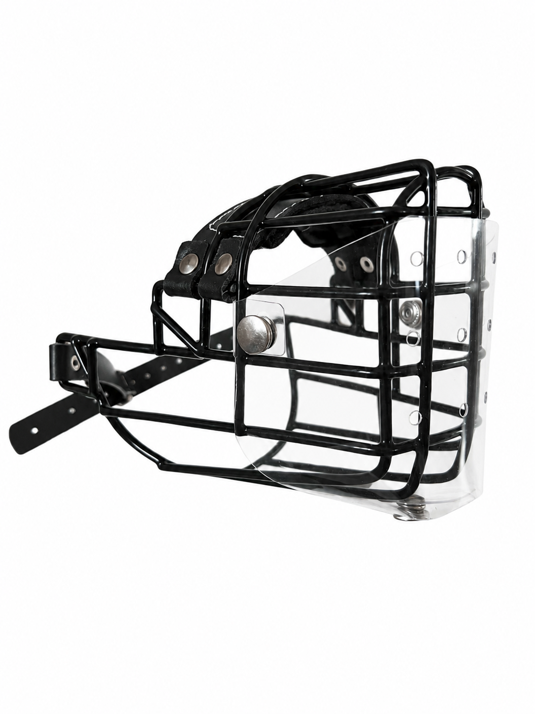 Cache anti-glouton pour CHOPO Doberman femelle