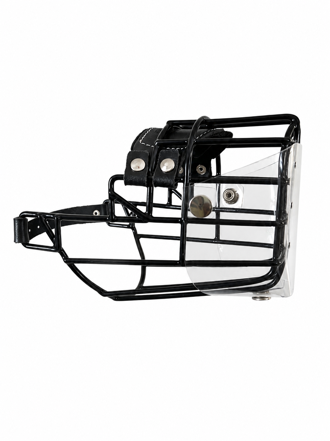 Cache anti-glouton pour CHOPO Doberman femelle