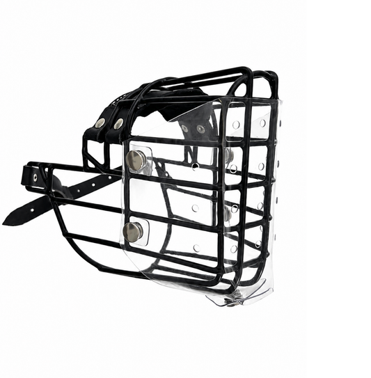 Cache anti-glouton pour CHOPO Doberman mâle