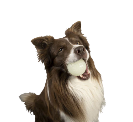Kiwi Walker Glow Ball Mini 6cm