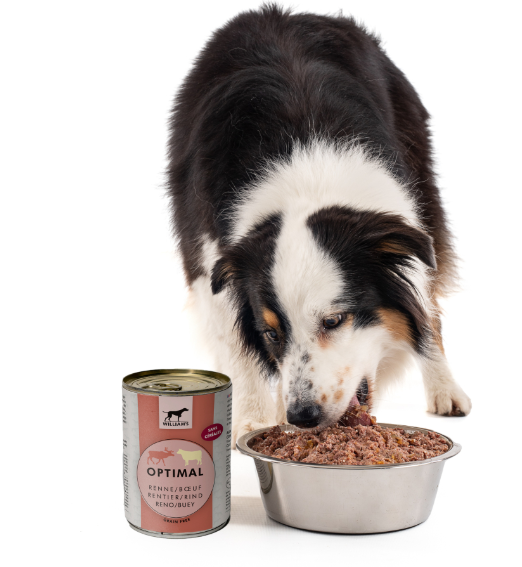 WILLIAM'S Pâté au renne et bœuf 800gr