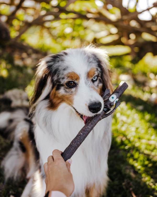 DOOG - Bâton résistant The Sticks