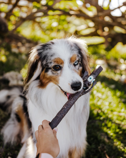 DOOG - Bâton résistant The Sticks