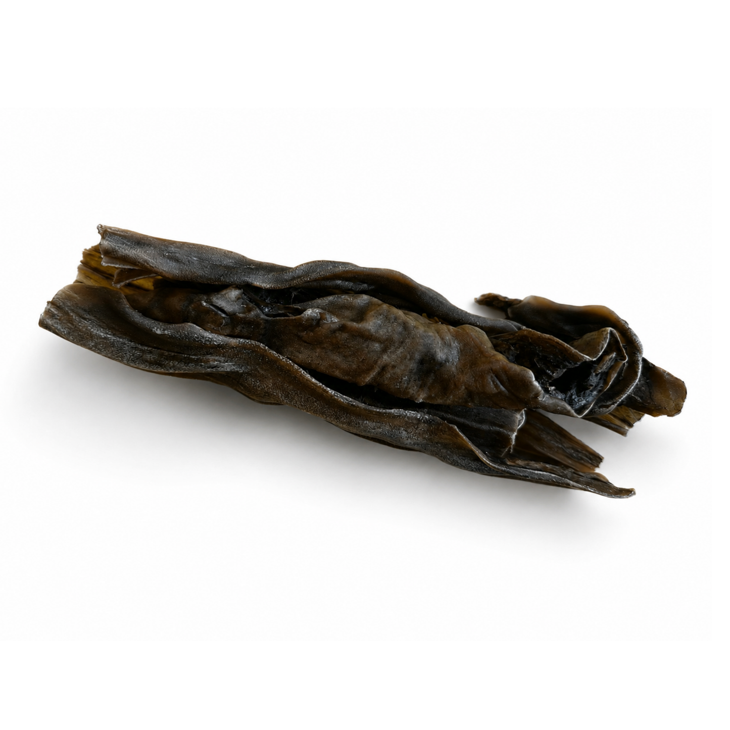 Stick de peau de cheval 18CM