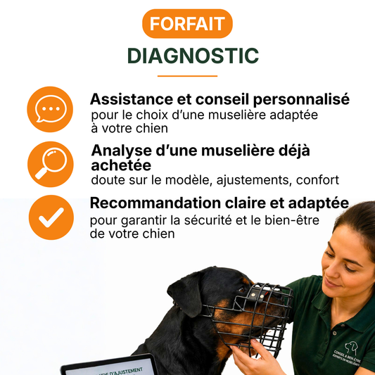 Forfait Diagnostic