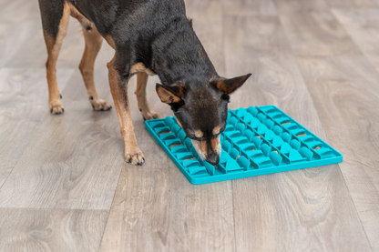 Tapis anti-glouton 30cm