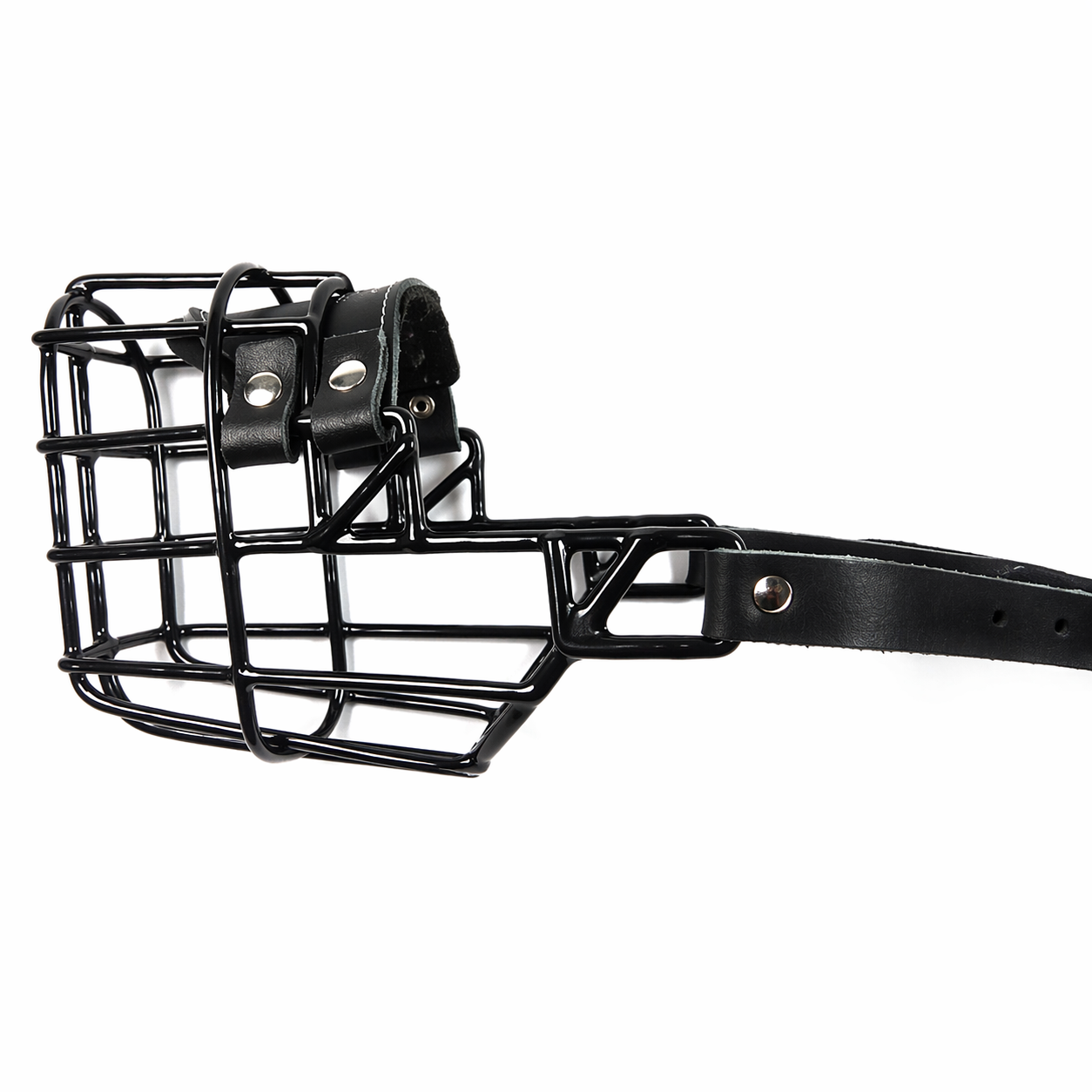 CHOPO Muzzle (Ref Labrador/Female Dalmatian) Black