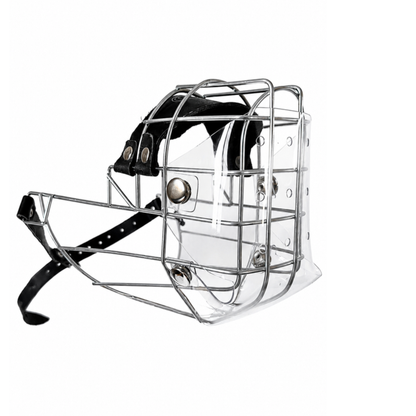 Cache anti-glouton pour CHOPO Rhodesian Ridgeback mâle acier