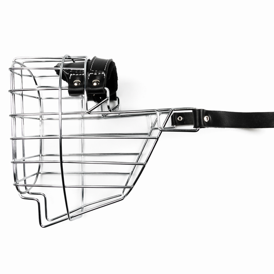 Bozal CHOPO (Ref Schnauzer gigante macho)