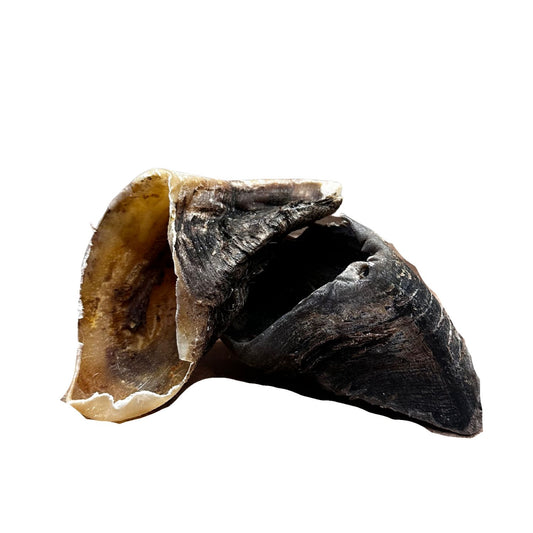 Pezuña de vaca