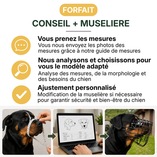 Forfait Conseil + Muselière