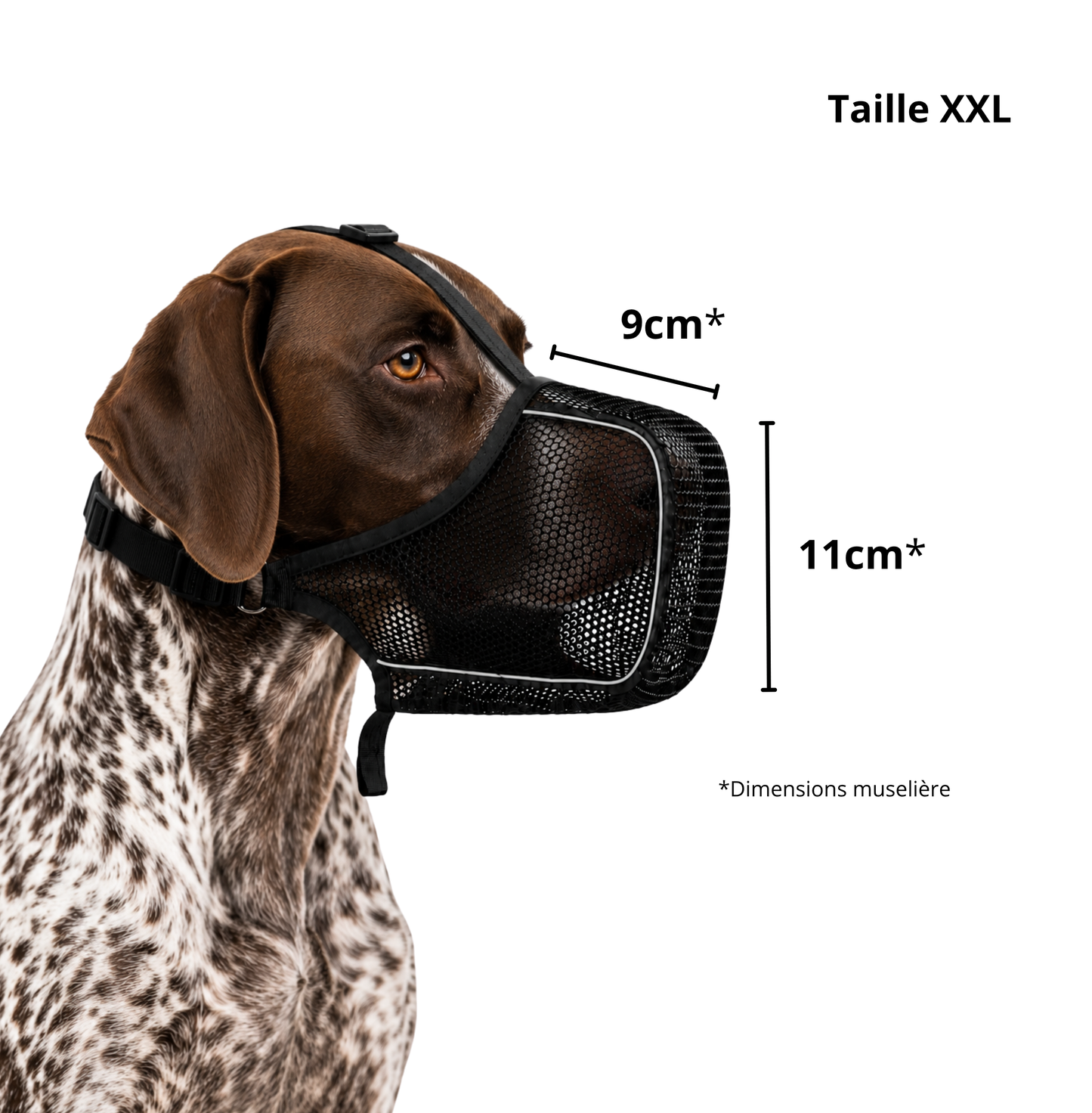 Muselière en maille respirante XXL