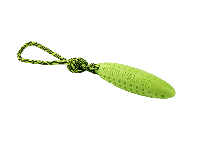 KIWI WALKER Zeppelin