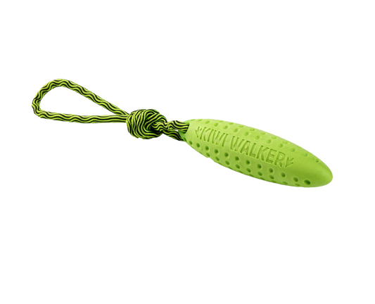 KIWI WALKER Zeppelin