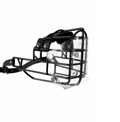 Cache anti-glouton pour CHOPO Labrador/Dalmatien femelle noir