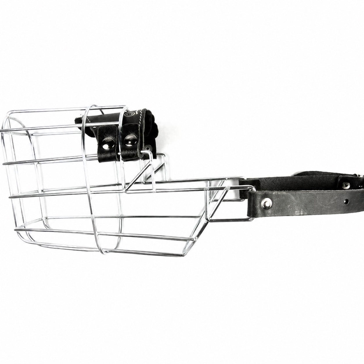 Bozal CHOPO (Ref Malinois macho)